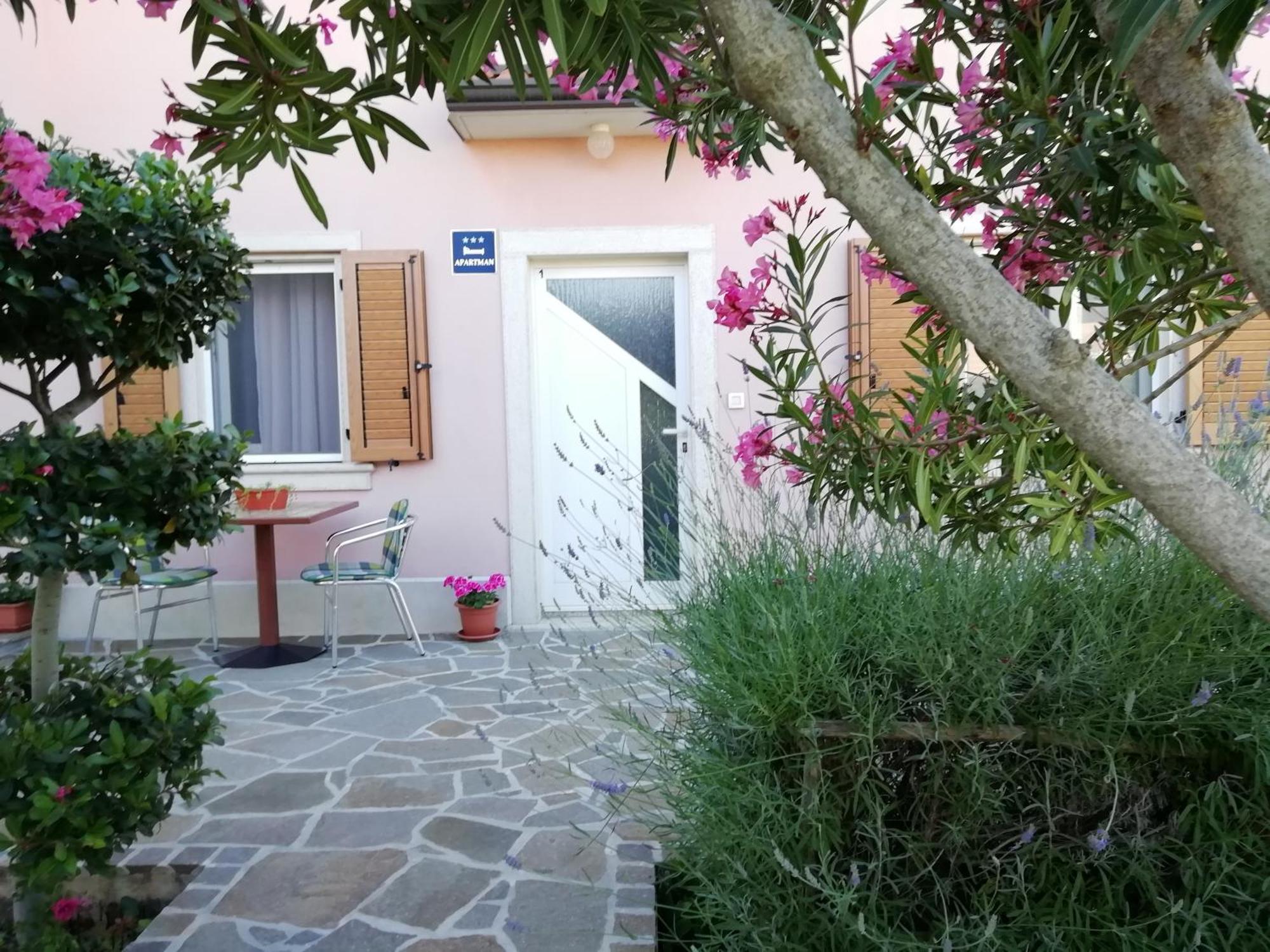 Apartmani Vesna Buje Exteriér fotografie