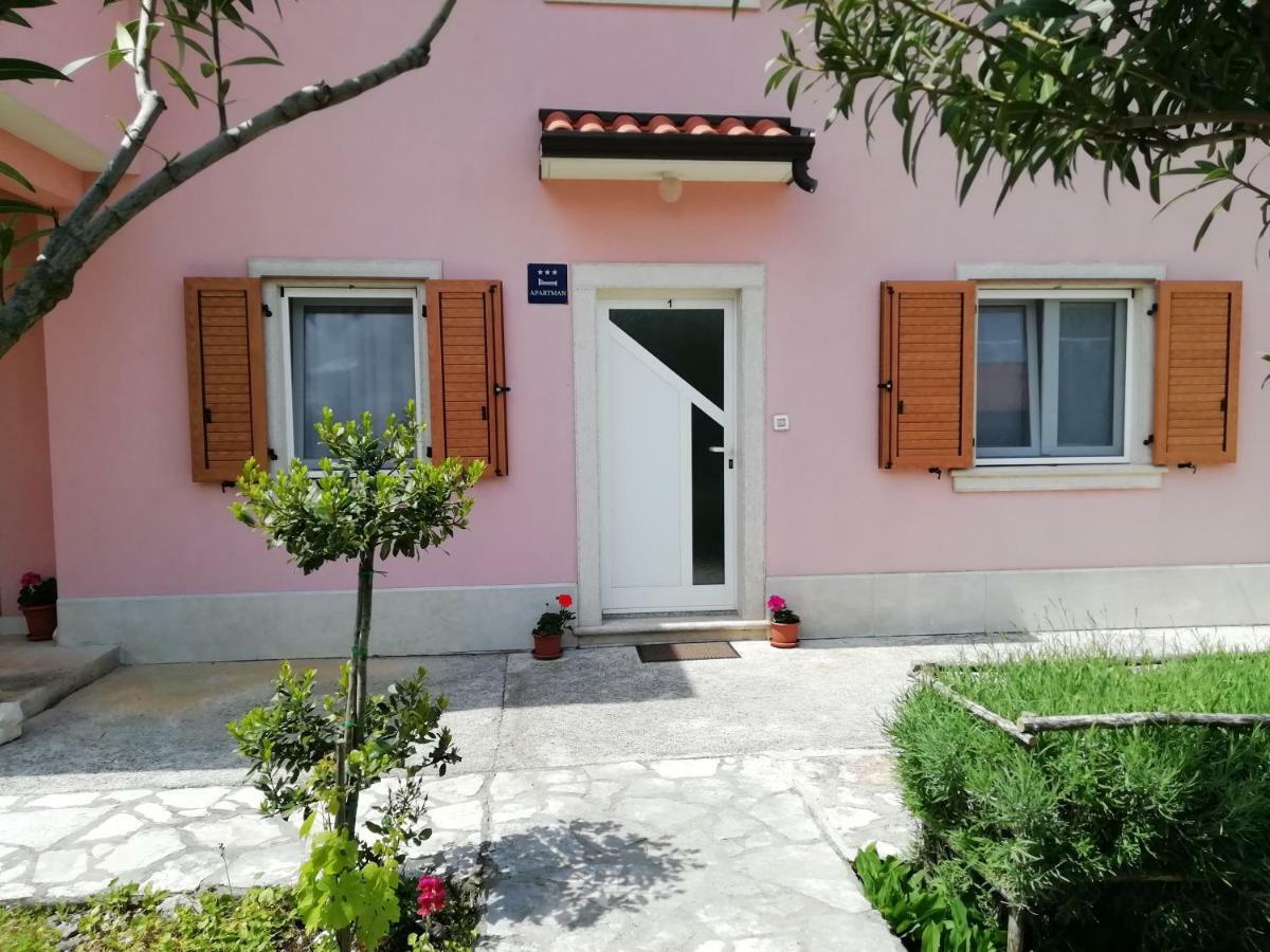 Apartmani Vesna Buje Exteriér fotografie